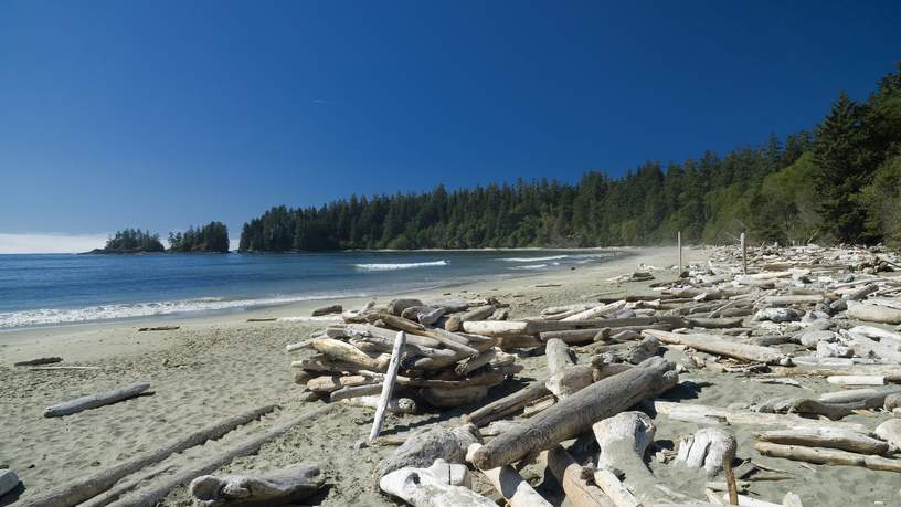 Long Beach, Tofino