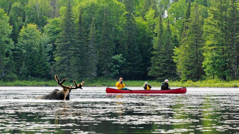 Op veel plekken kun je gratis gebruikmaken kano's, kajaks, paddle boards en mountainbikes.