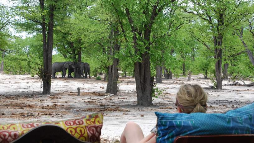 Olifanten bij Hyena Pan Tented Camp