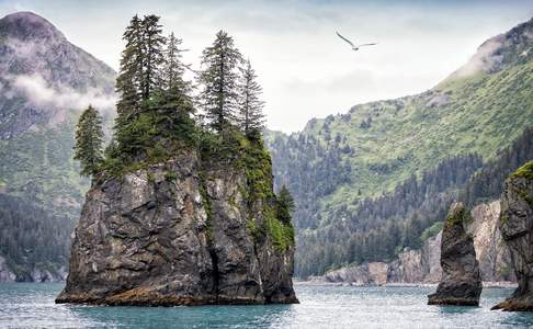 Kenai Fjords National Park