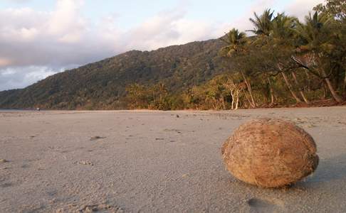 Cape Tribulation