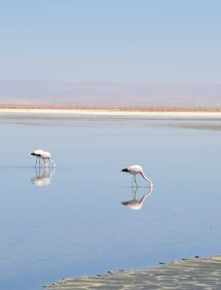 Salar de Atacama, Chili