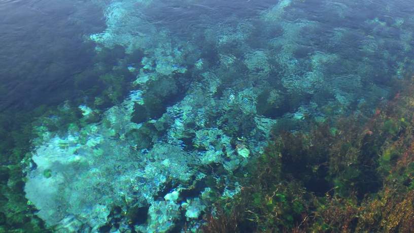 Te Waikoropupū Springs, de grootste zoetwaterbron van het zuidelijk halfrond.