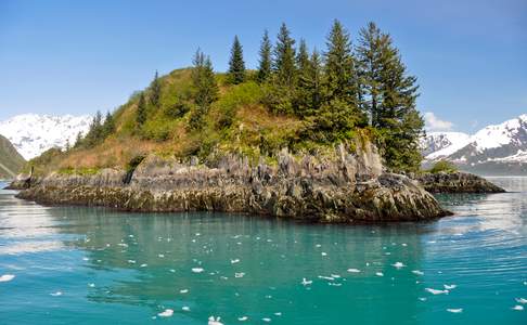 Aialik bay - Kenai Fjords National Park