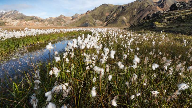 Landmannalaugar