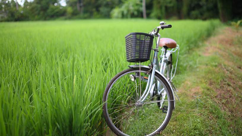 Fietsen naar het werk wordt gestimuleerd