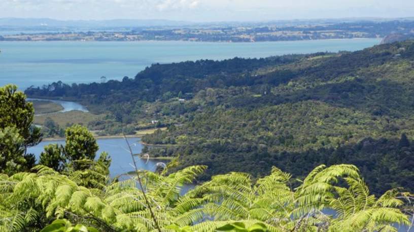 De Waitakere Ranges met eeuwenoude kauri bomen