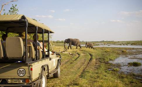 Moremi Game Reserve