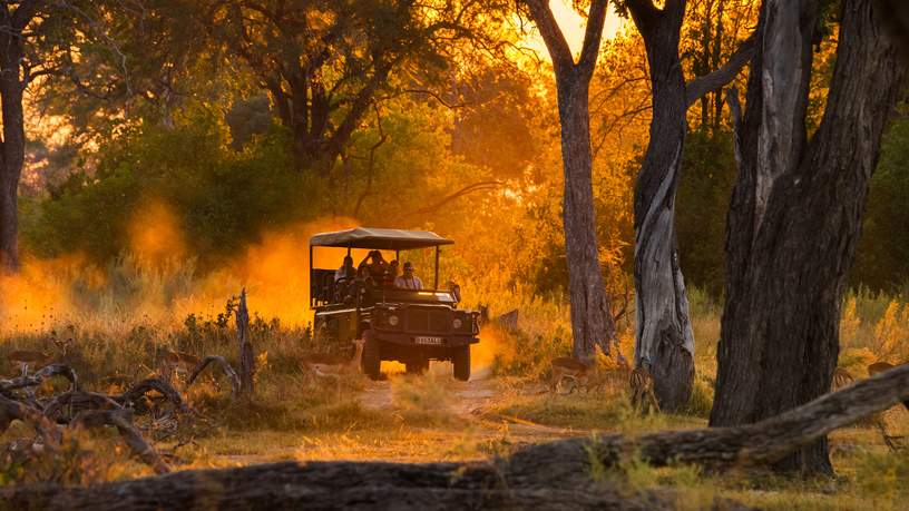 Moremi Game Reserve