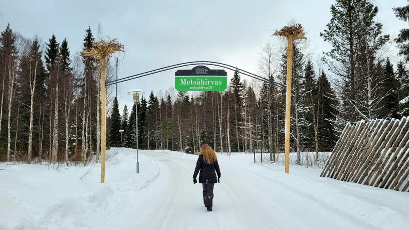 Thuiskomen in Fins Lapland, dit keer niet als reiziger, maar als werknemer