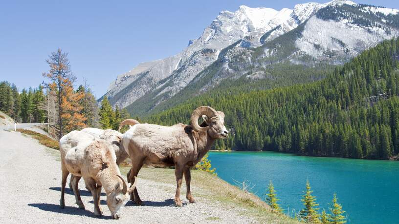 De prachtige natuur in Canada