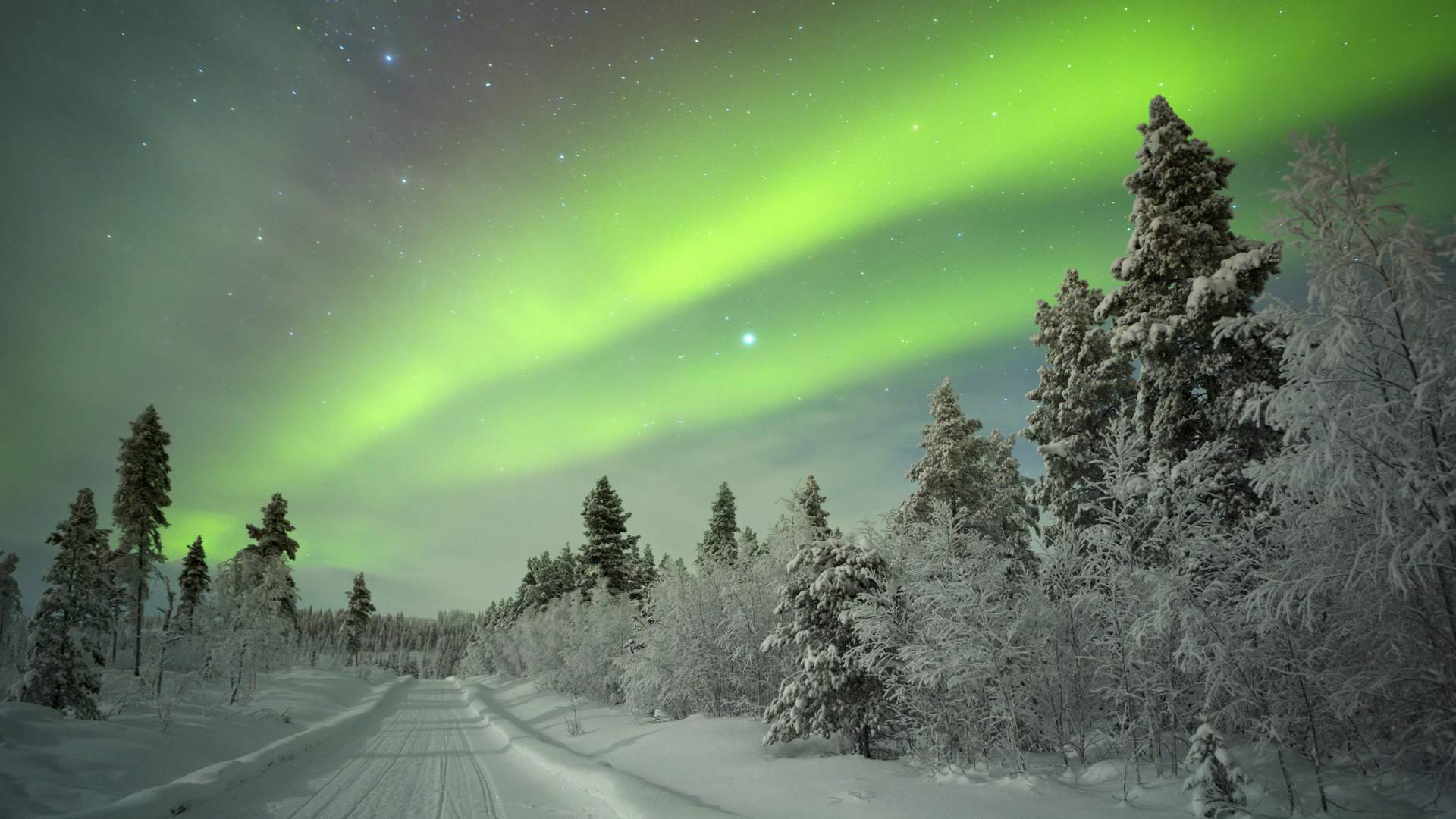Noorderlicht Lapland Askja Reizen