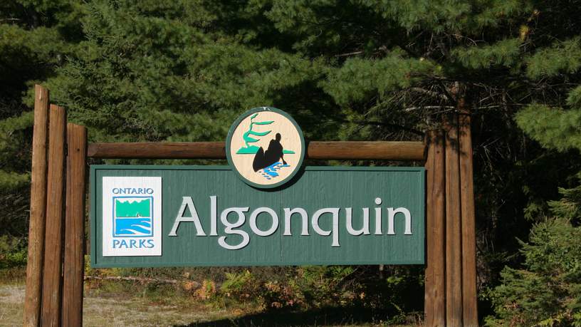 Algonquin Provincial Park