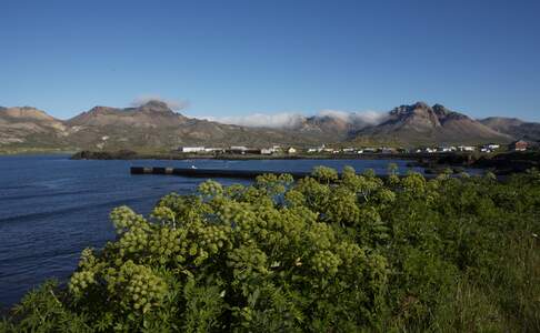 Borgarfjördur Eystri