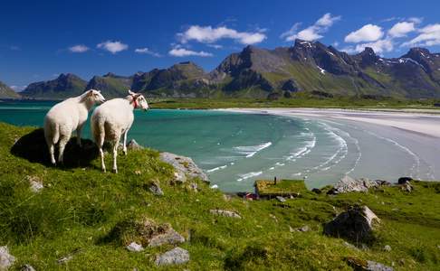 Lofoten