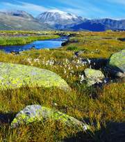 Jotunheimen