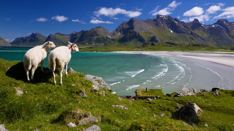 Lofoten