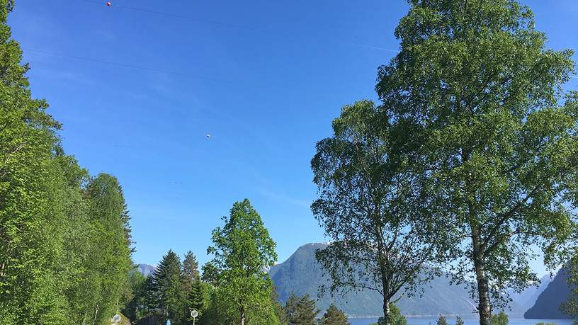 Lege wegen in Sognefjord