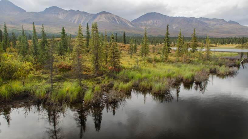 Denali Highway