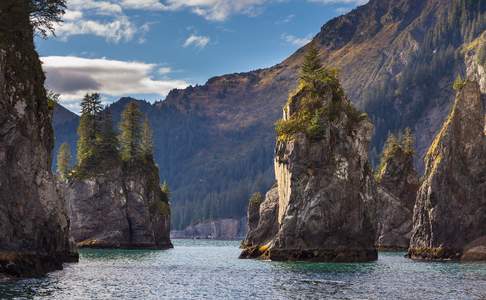 Resurrection Bay