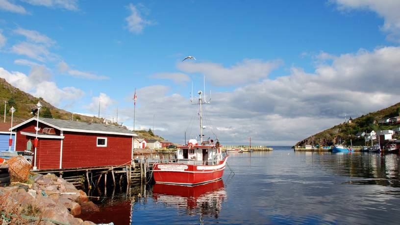 Petty Harbour