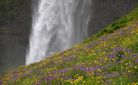 Seljalandsfoss