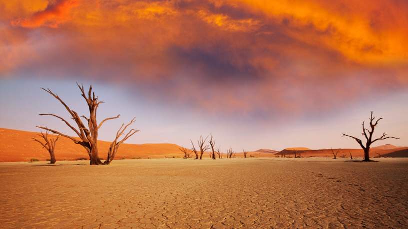 Deadvlei, Namibië
