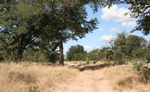 Chobe National Park