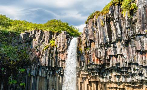 Svartifoss met basalten wanden, Skaftafell national park, zuidelijk IJsland