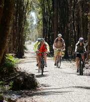 Kumara Rail Line - West Coast Rail Trail