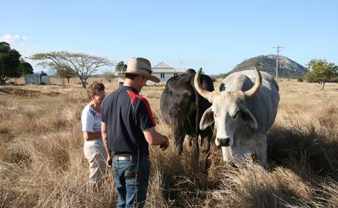 Henderson Farmstay