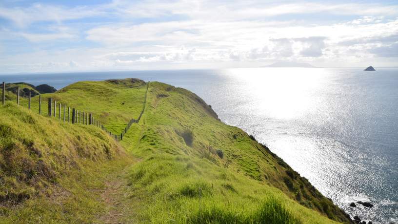 Coromandel Walkway